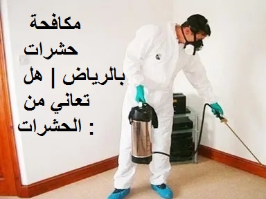 مكافحة حشرات بالرياض | هل تعاني من الحشرات