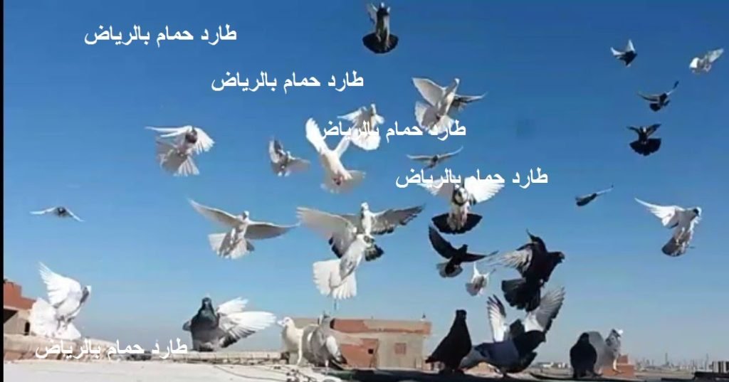 Read more about the article طارد حمام بالرياض