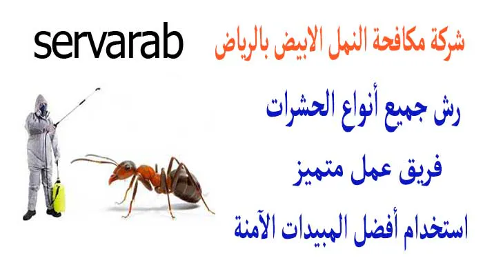 Read more about the article شركة مكافحة النمل الابيض بالرياض
